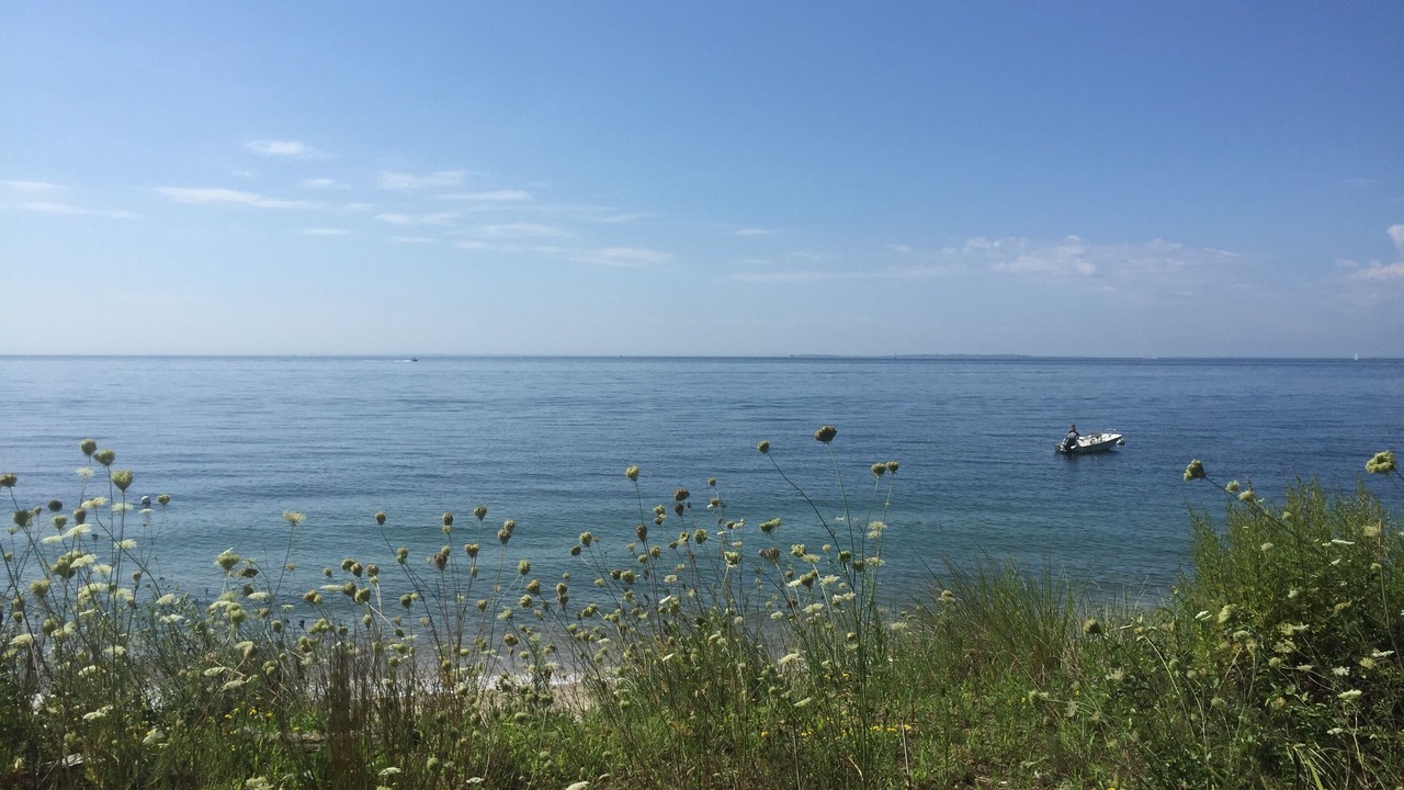 Photo of Others in Waterford