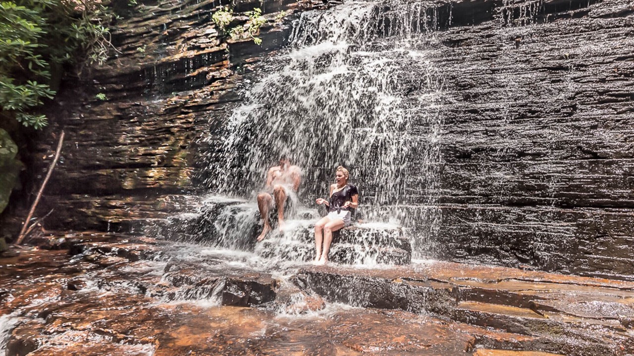 Photo of Others in Copperhill