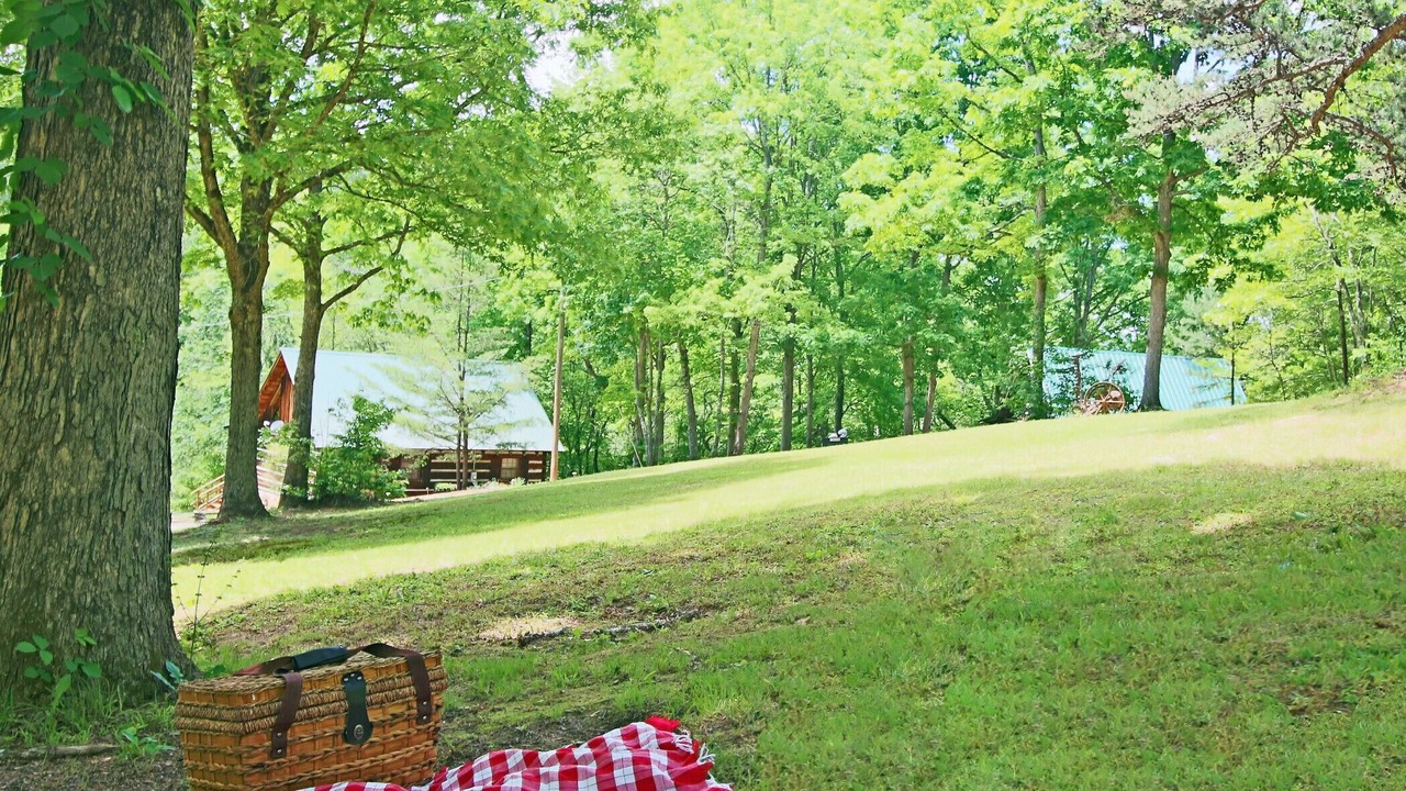 Photo of Outdoor in Copperhill