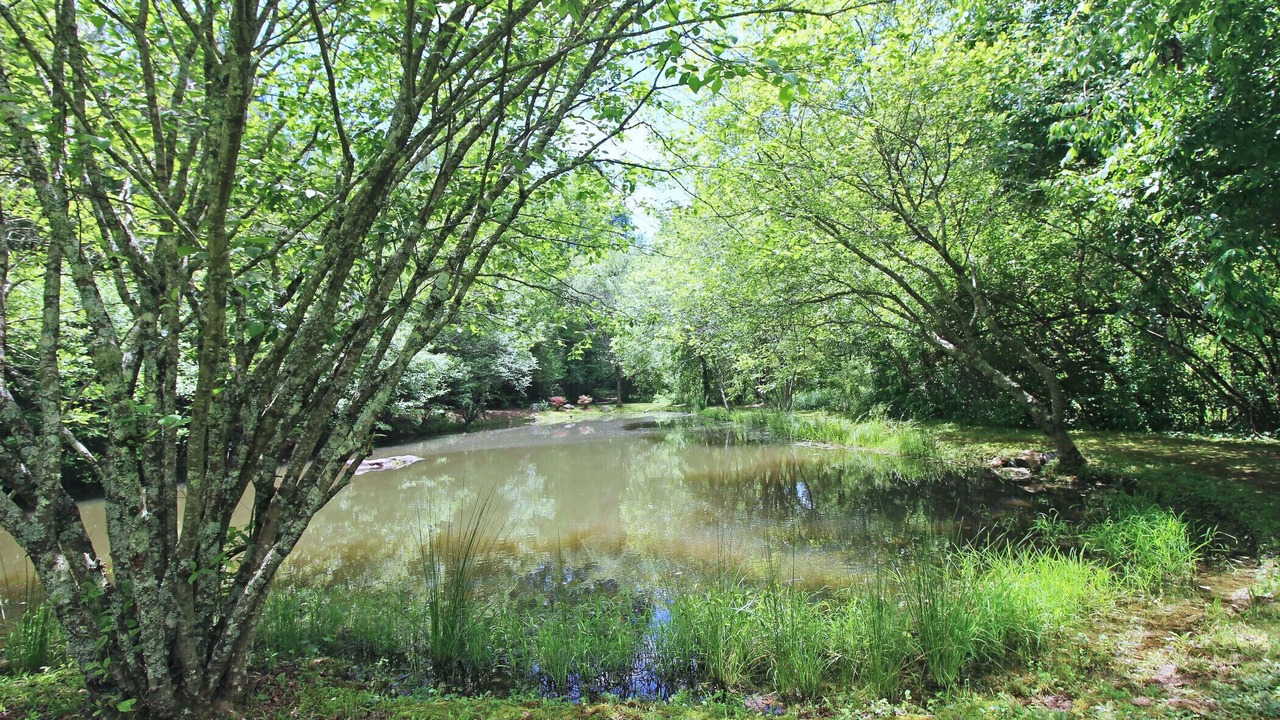 Photo of Others in Copperhill