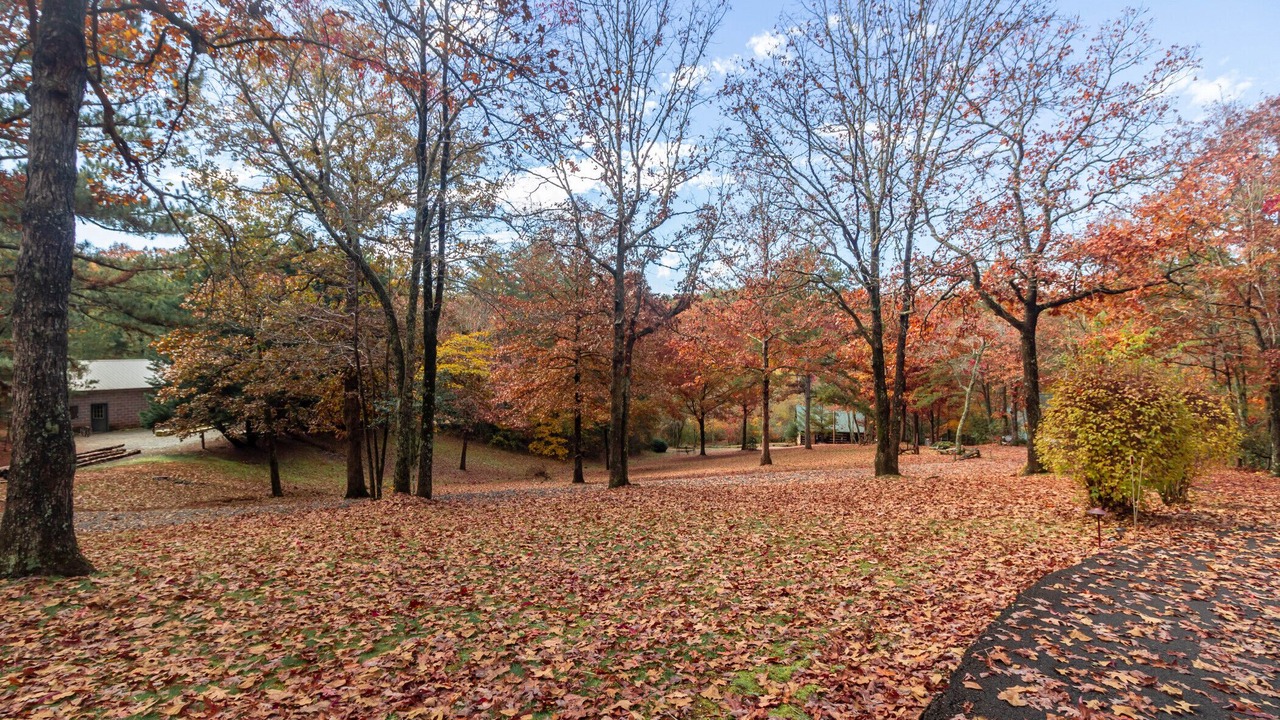 Photo of Outdoor in Copperhill