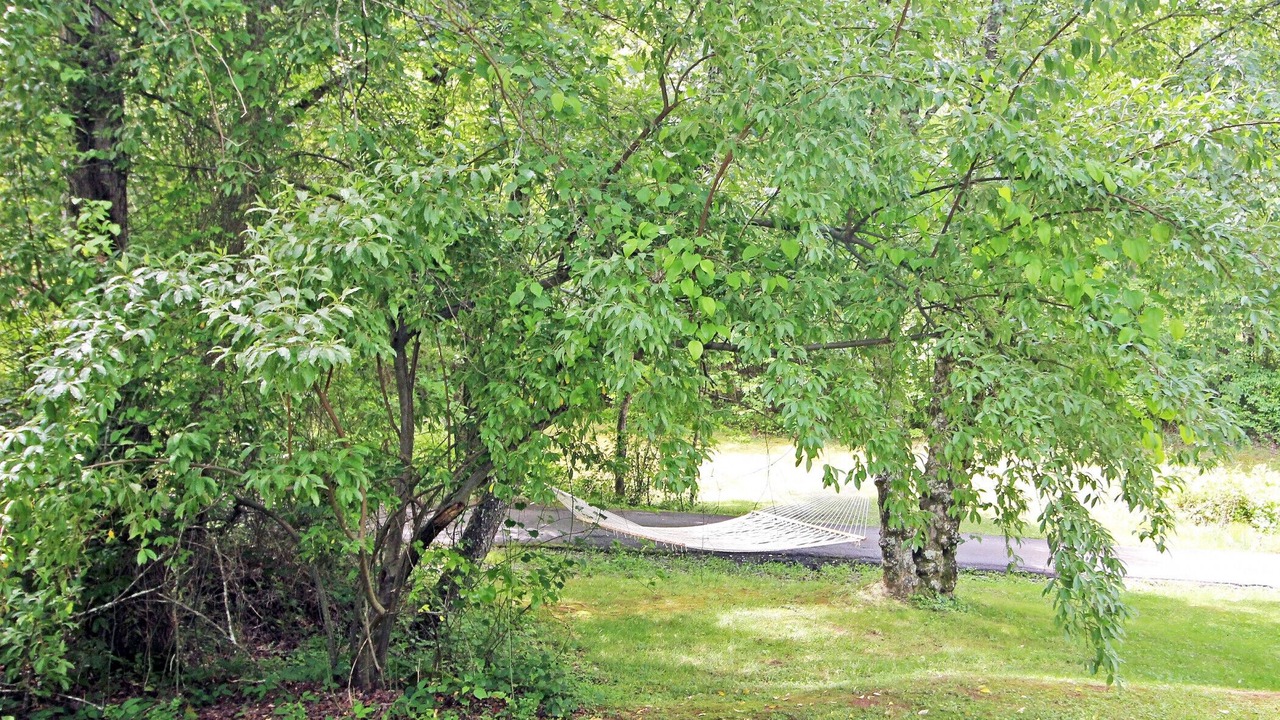 Photo of Others in Copperhill