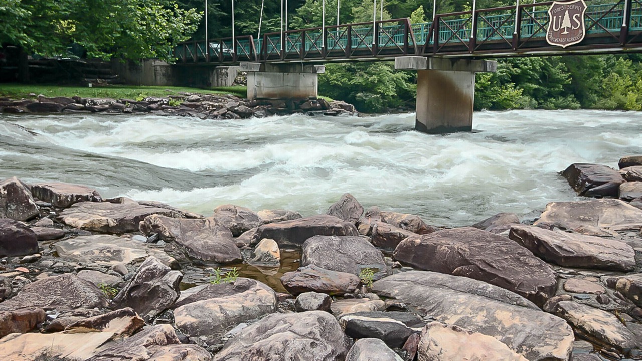 Photo of Others in Copperhill