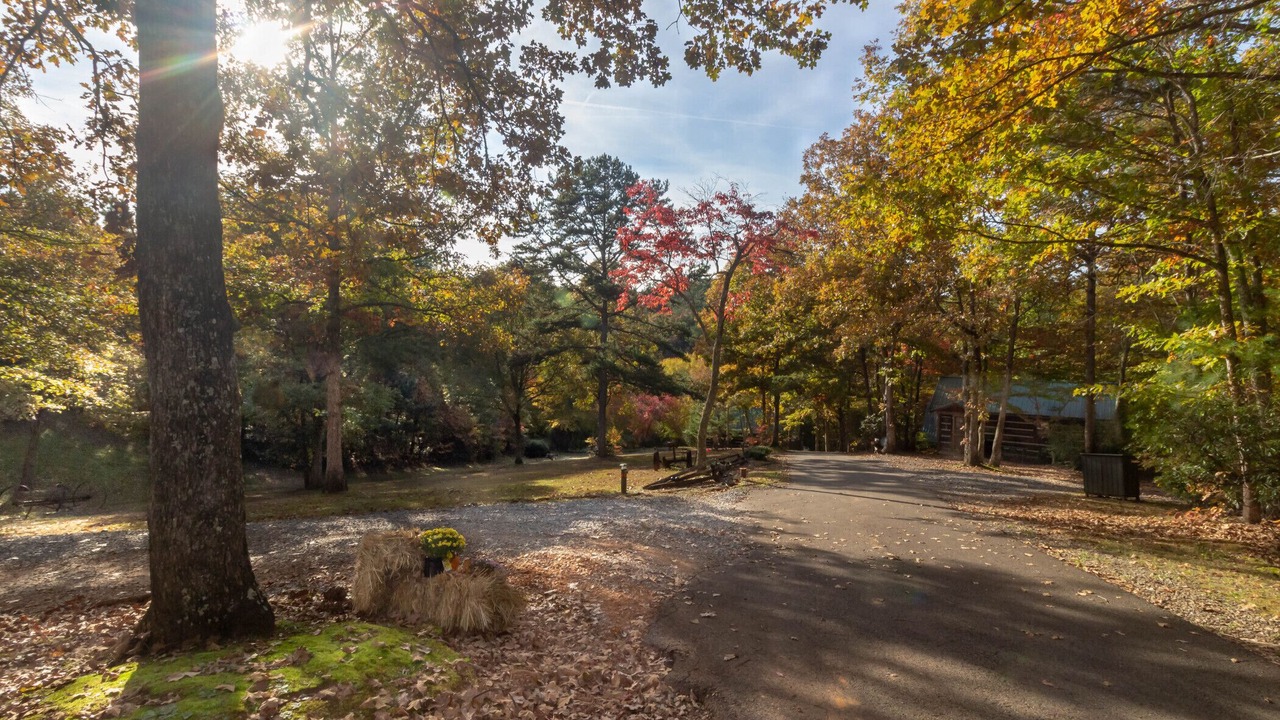 Photo of Others in Copperhill