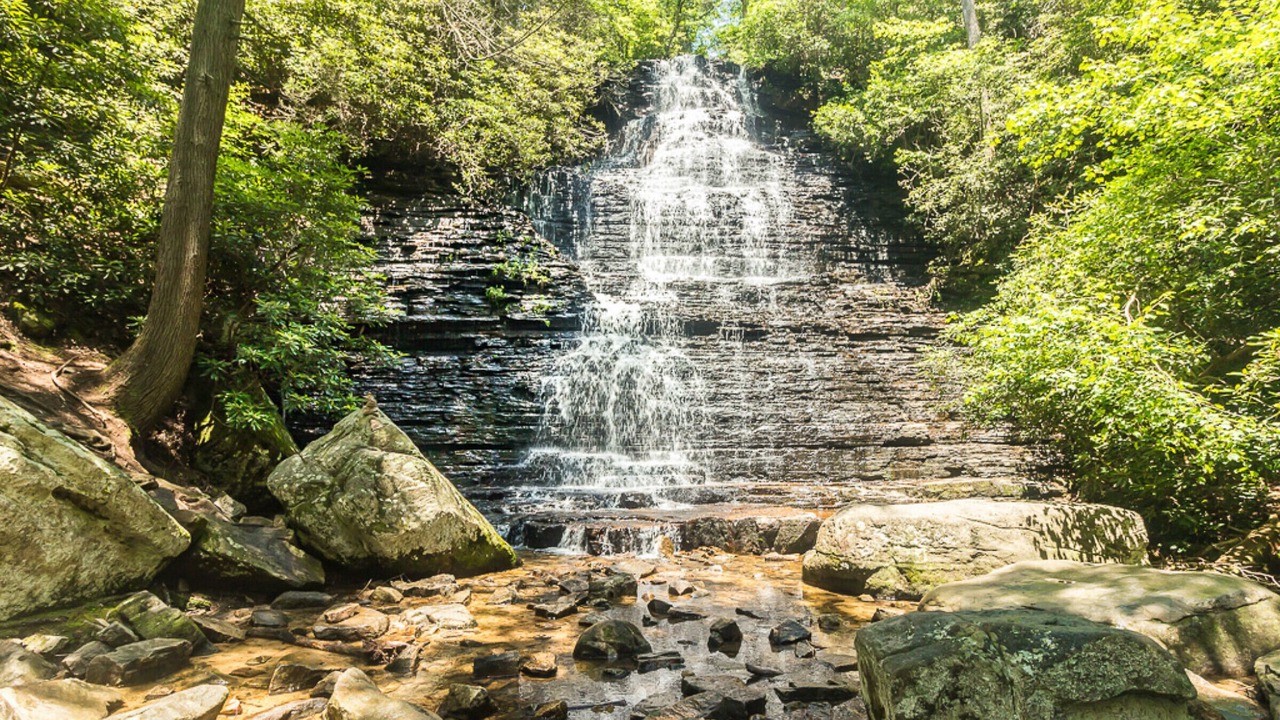 Photo of Others in Copperhill