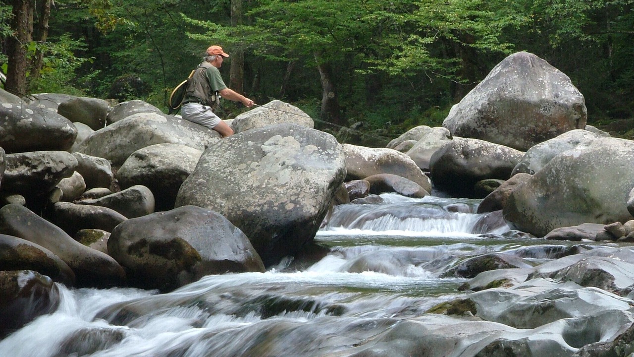 Photo of Others in Copperhill