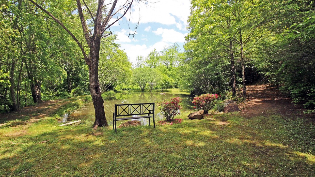 Photo of Others in Copperhill