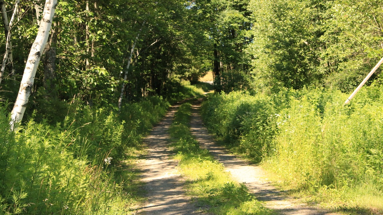 Photo of Others in Parish
