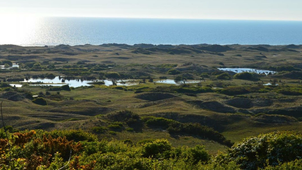 Photo of Others in Les Moitiers-d'Allonne