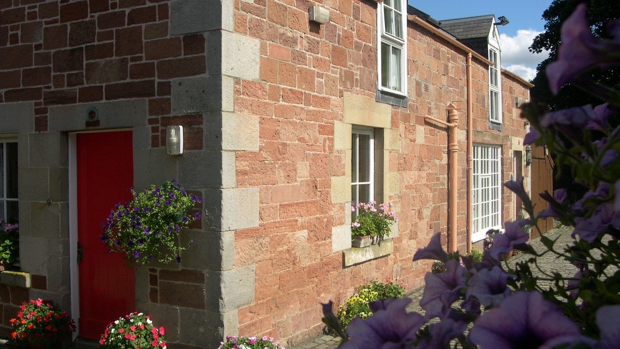 Photo of Outdoor in Melrose