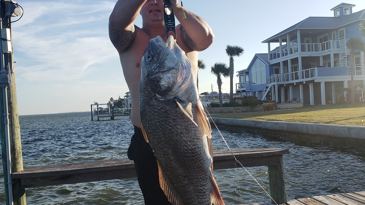 Photo of Others in Rockport