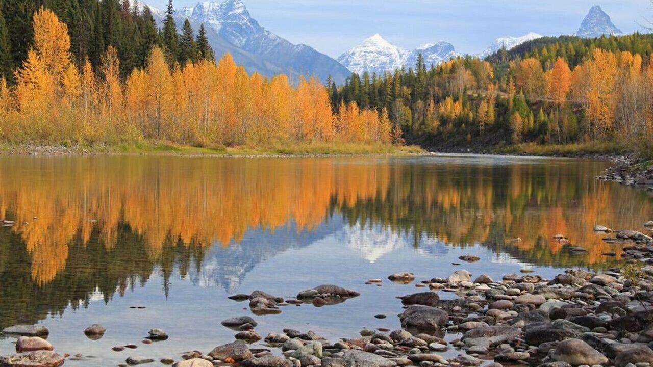 Photo of Others in Whitefish