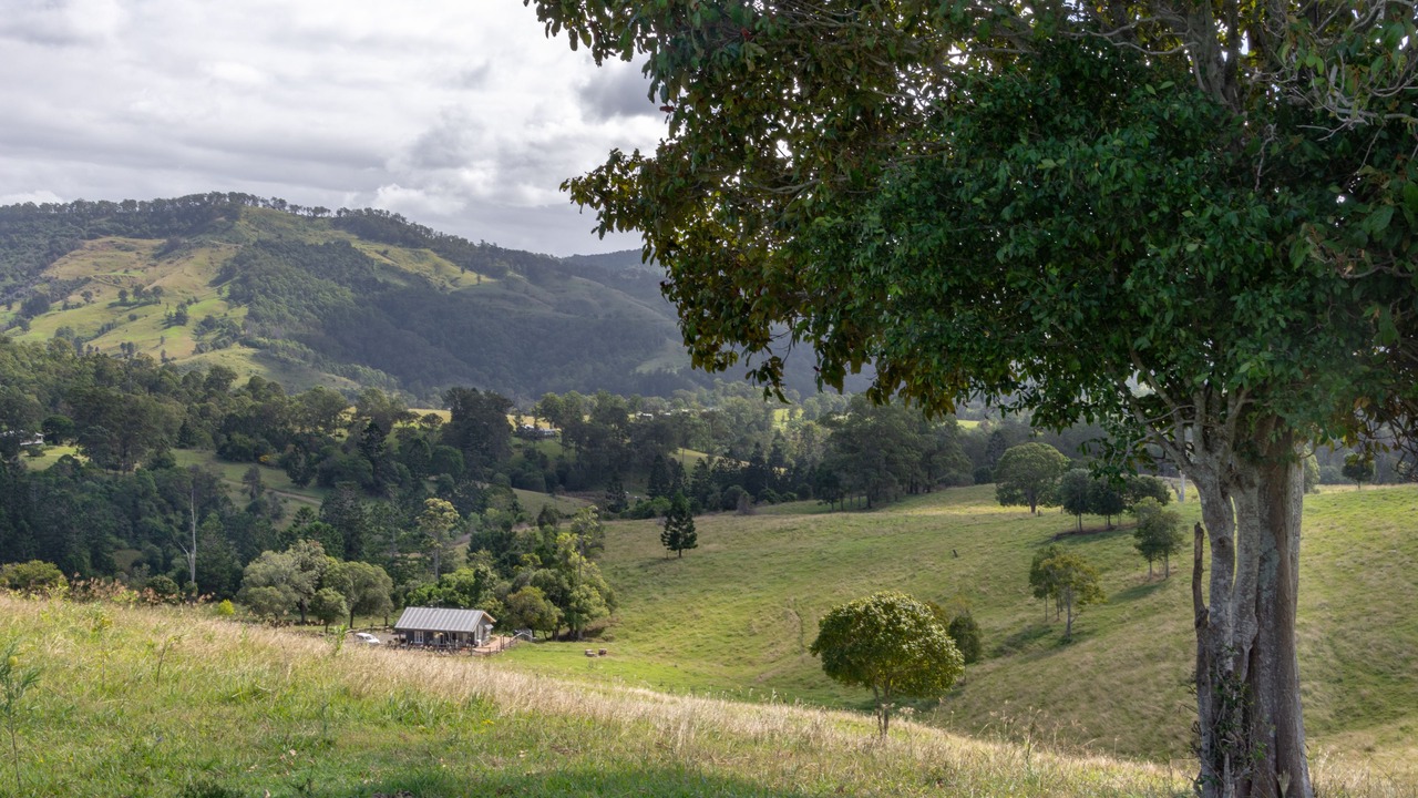 Photo of Outdoor in Flying Fox