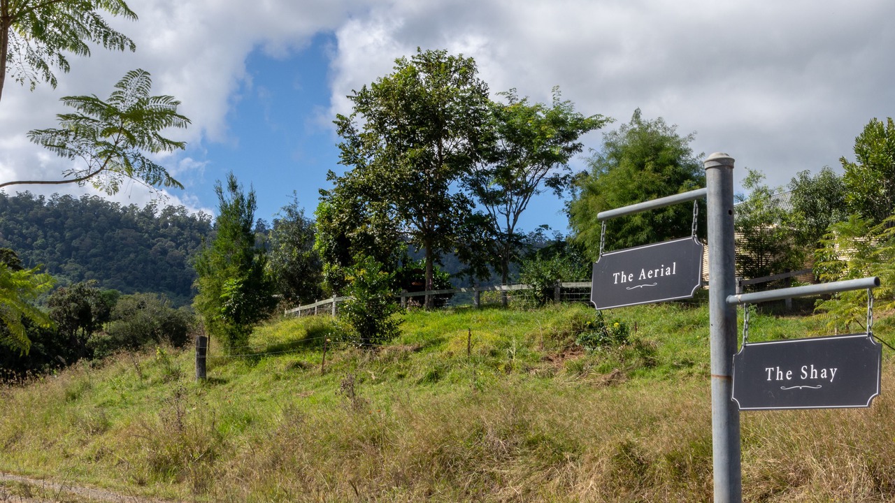 Photo of Outdoor in Flying Fox