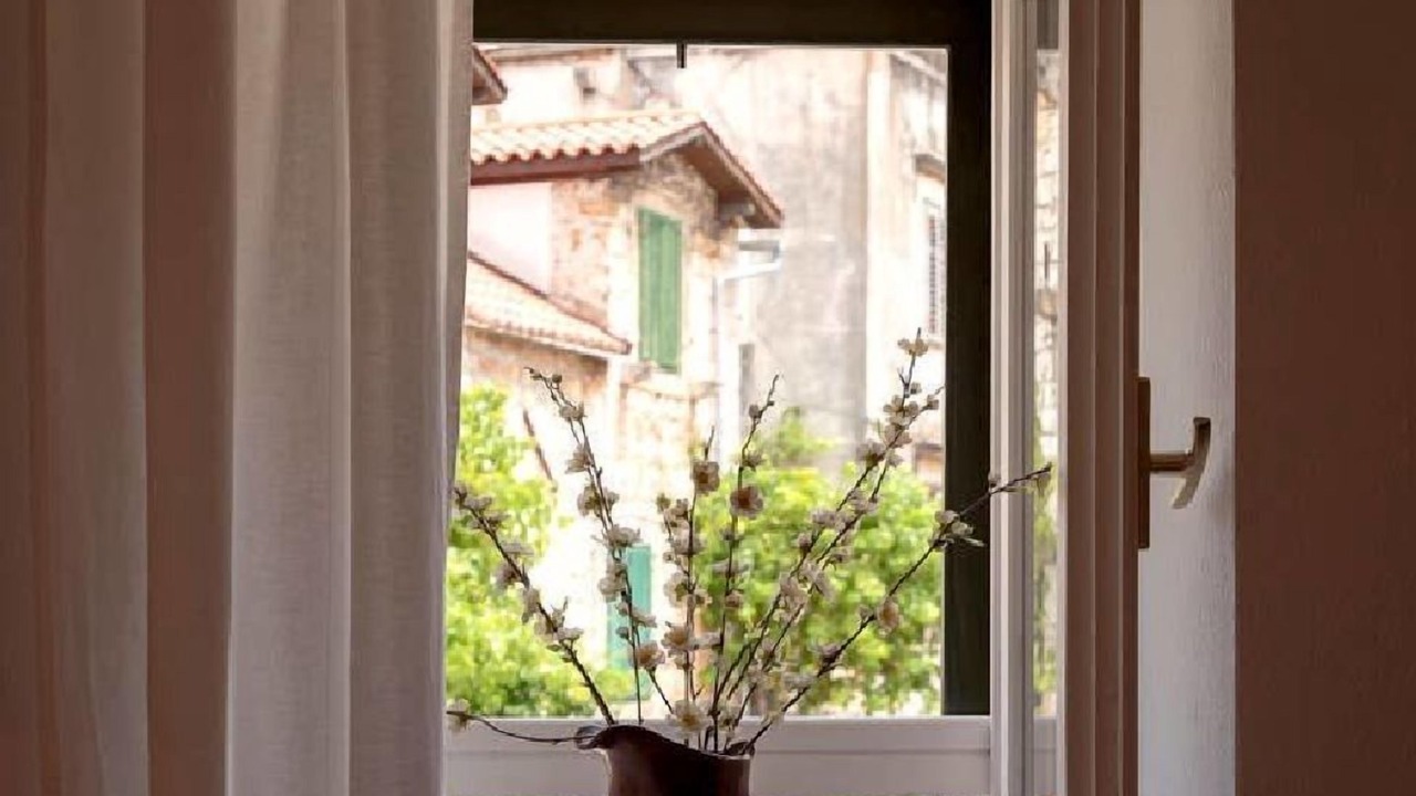 Photo of Others in Stari Grad