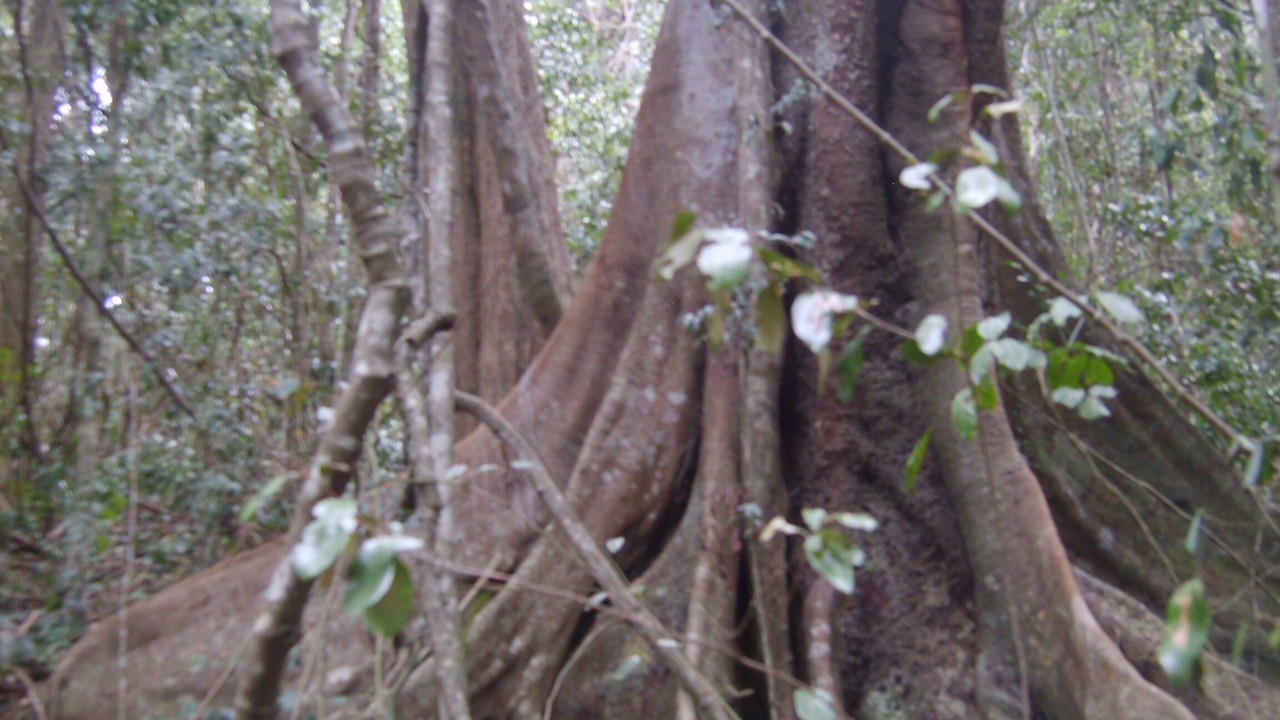 Photo of Outdoor in Kenilworth