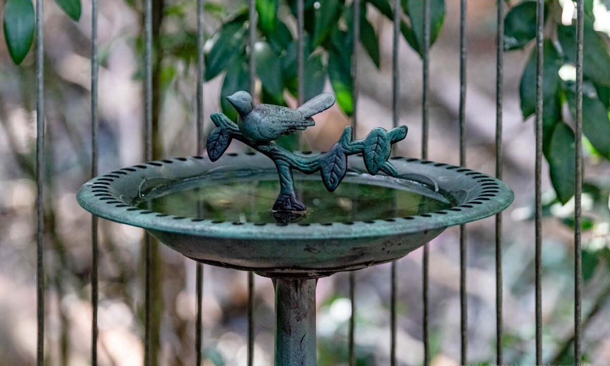 Photo of Others in Kenilworth