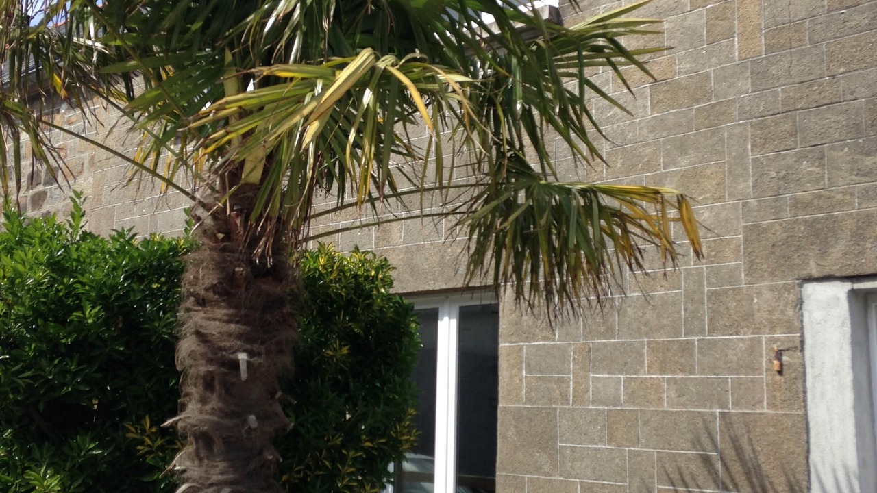 Photo of Outdoor in Le Vivier-sur-Mer