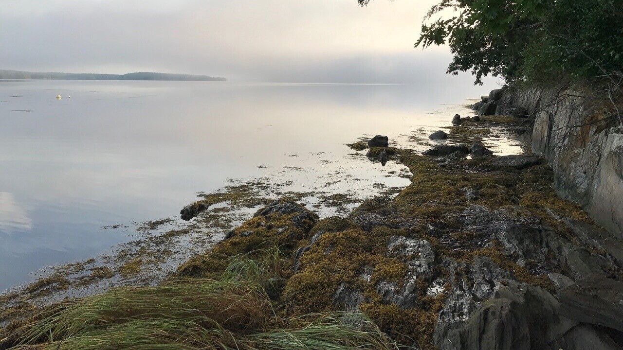 Photo of Others in Greenland
