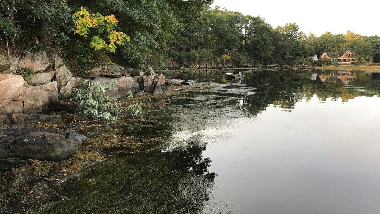 Photo of Others in Greenland
