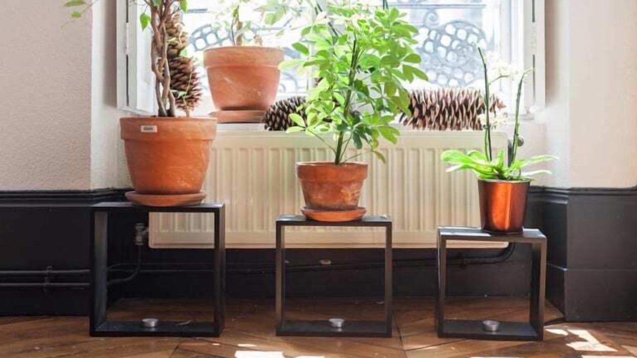 Photo of Others in Lyon City Centre