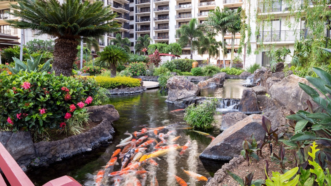 Photo of Outdoor in Ko Olina