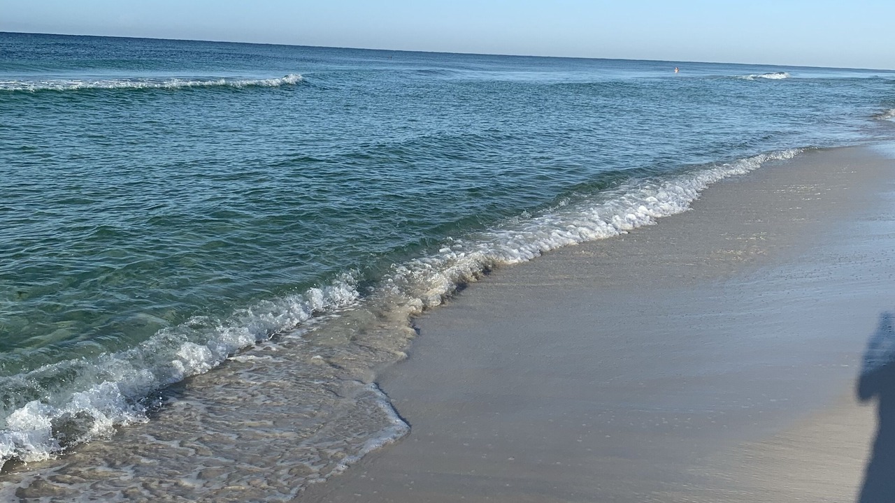 Photo of Others in Seagrove Beach