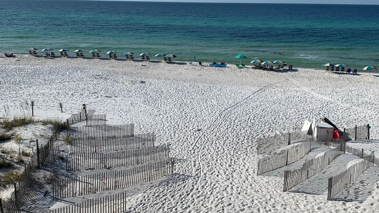 Photo of Others in Seagrove Beach