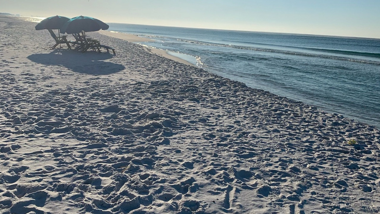 Photo of Others in Seagrove Beach