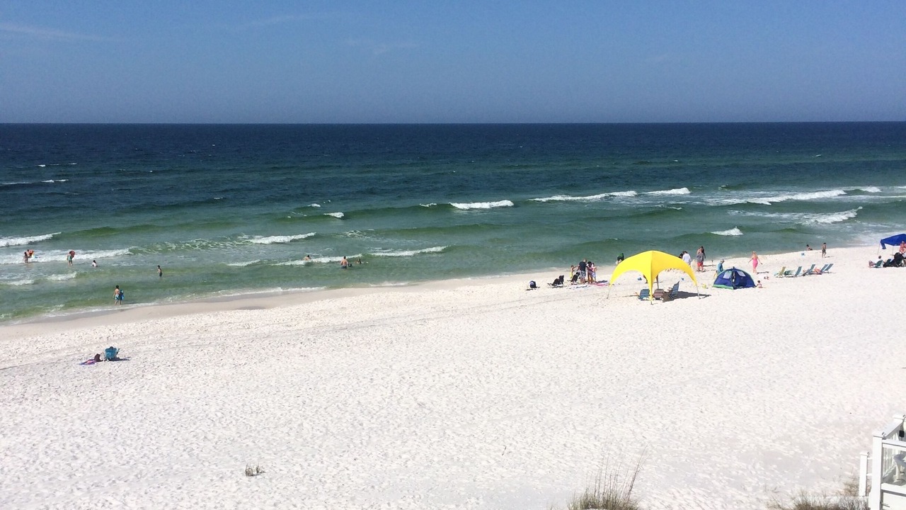 Photo of Others in Seagrove Beach