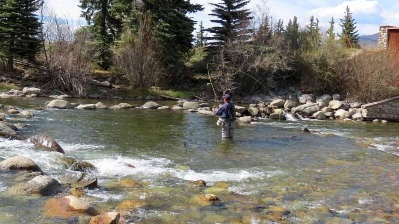 Photo of Others in Dillon