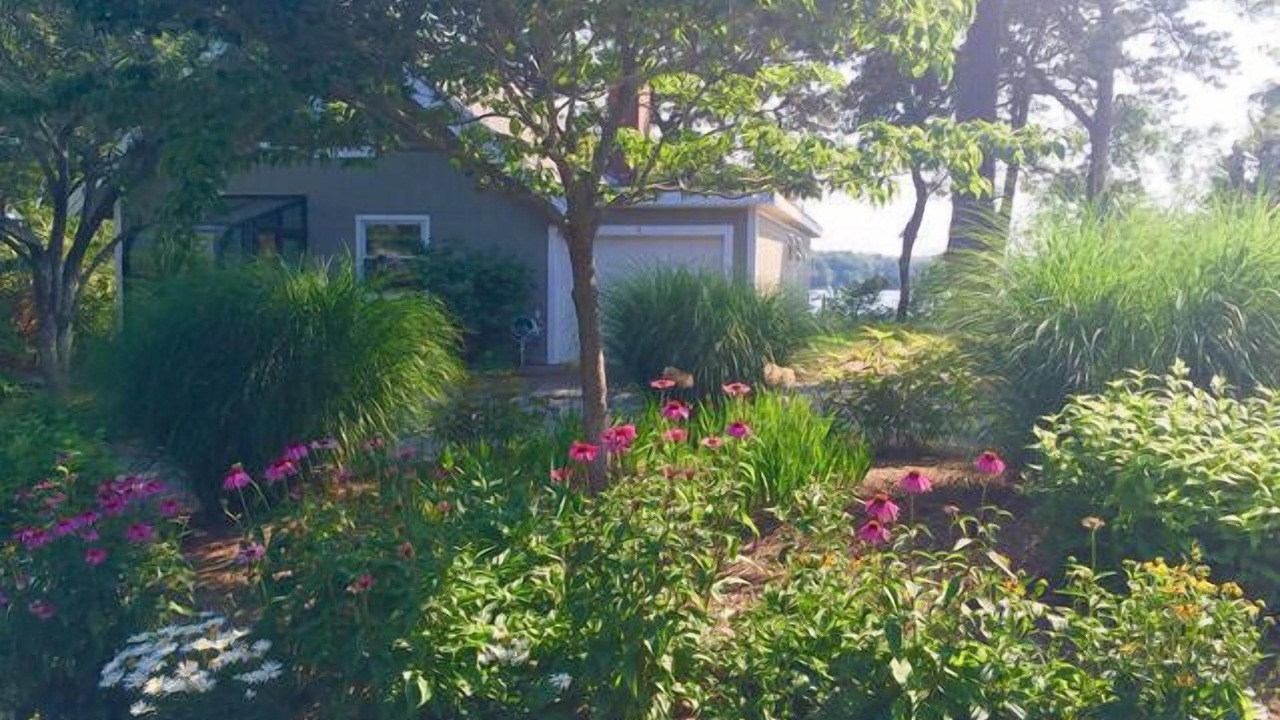 Photo of Others in Yarmouth Port