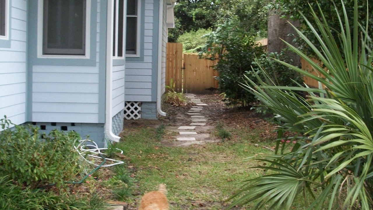 Photo of Others in Gulfport