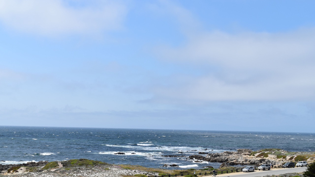 Photo of Others in Pacific Grove