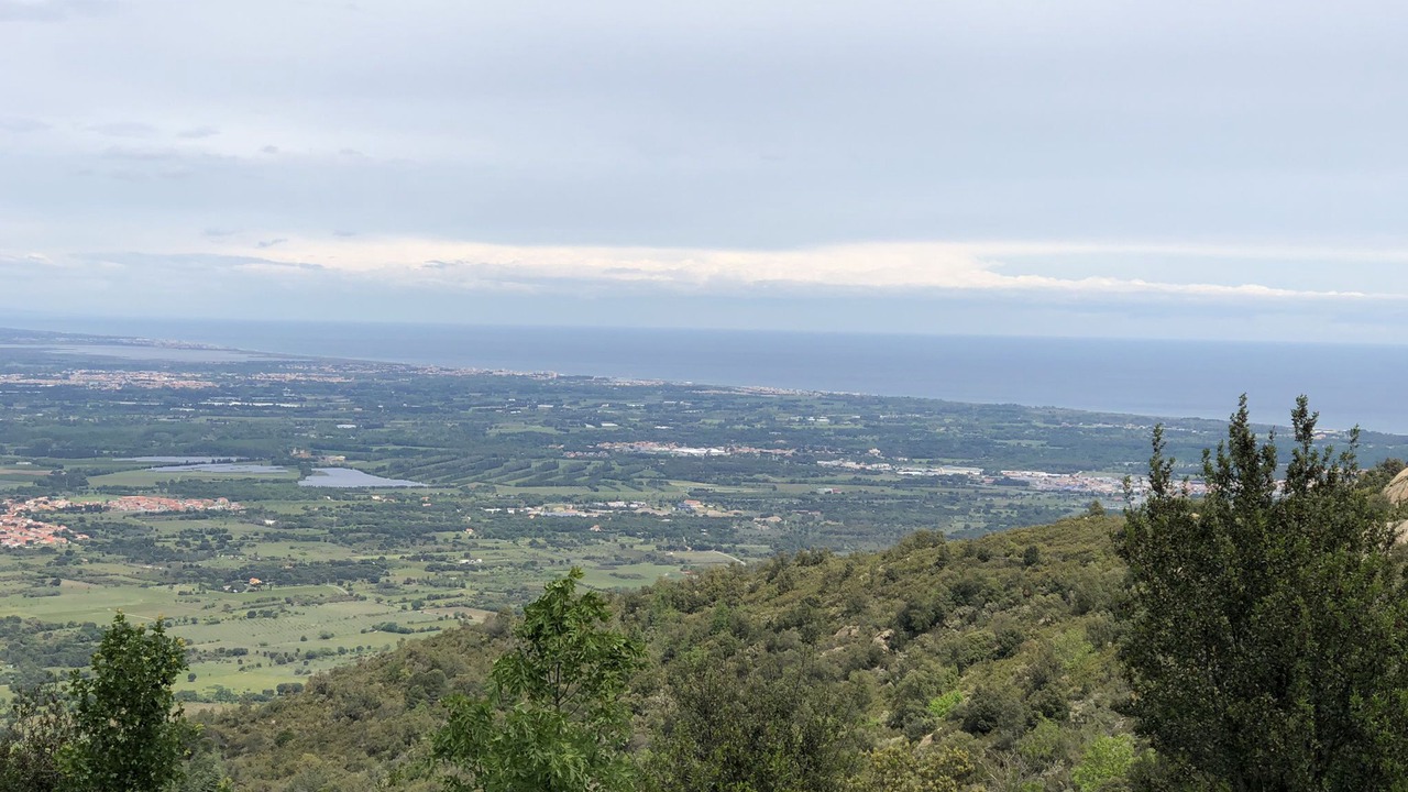 Photo of Others in Sorede