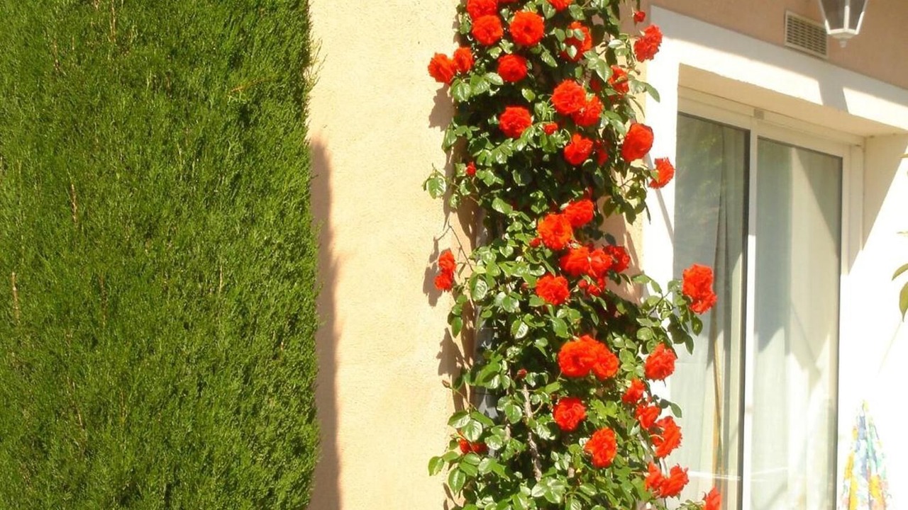 Photo of Outdoor in Loriol-du-Comtat