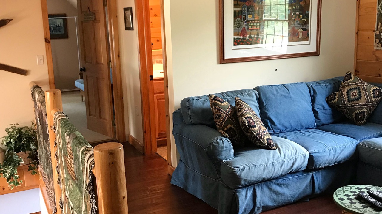 Photo of Livingroom in North Lake George