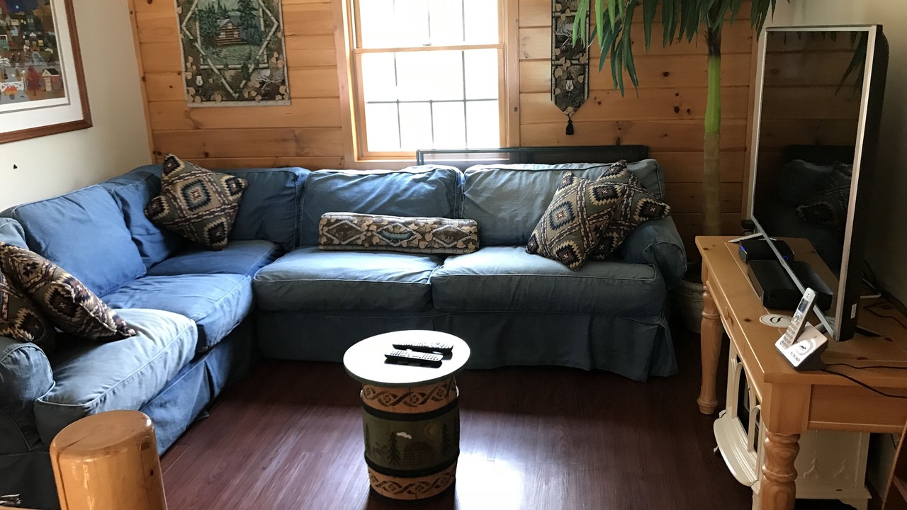 Photo of Livingroom in North Lake George