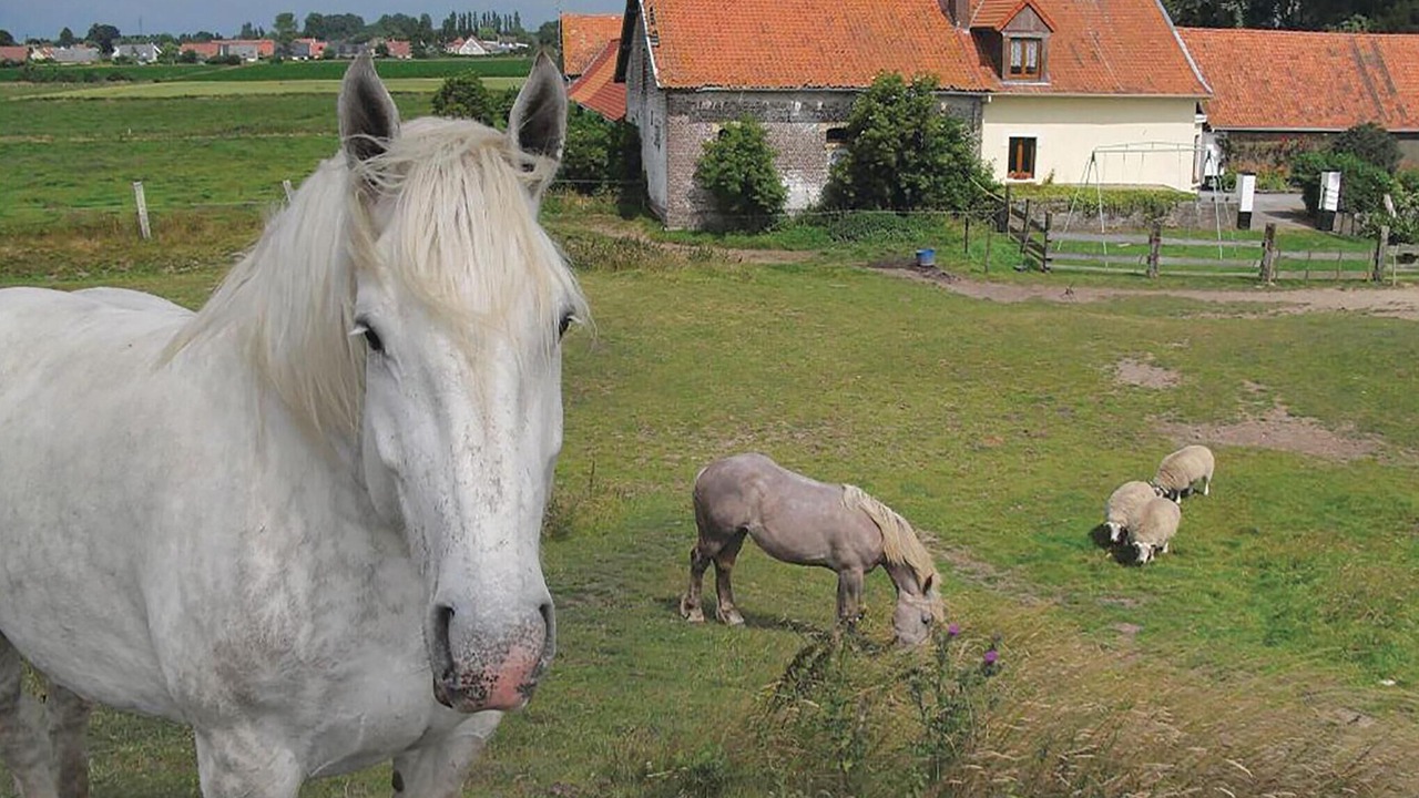 Photo of Others in Hames-Boucres