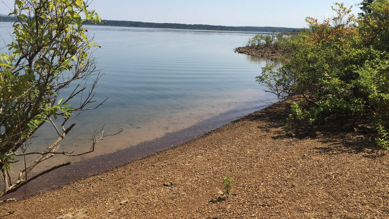 Photo of Outdoor in Quitman