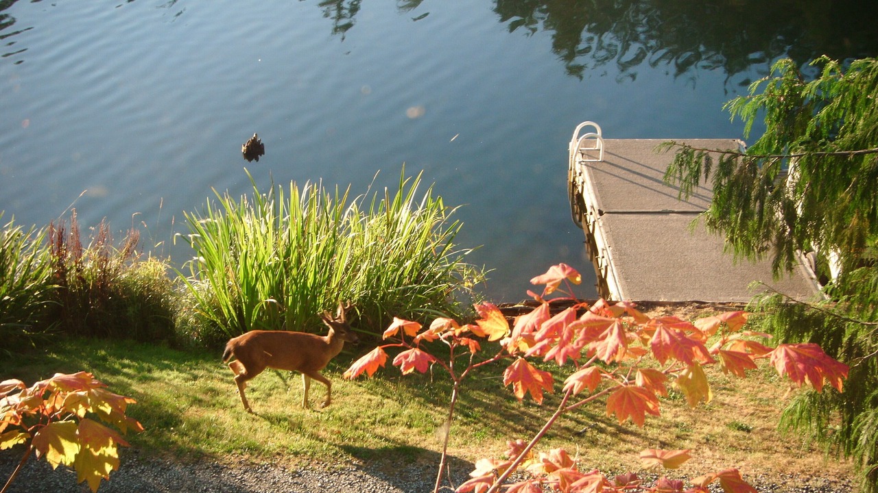 Photo of Outdoor in Bellingham