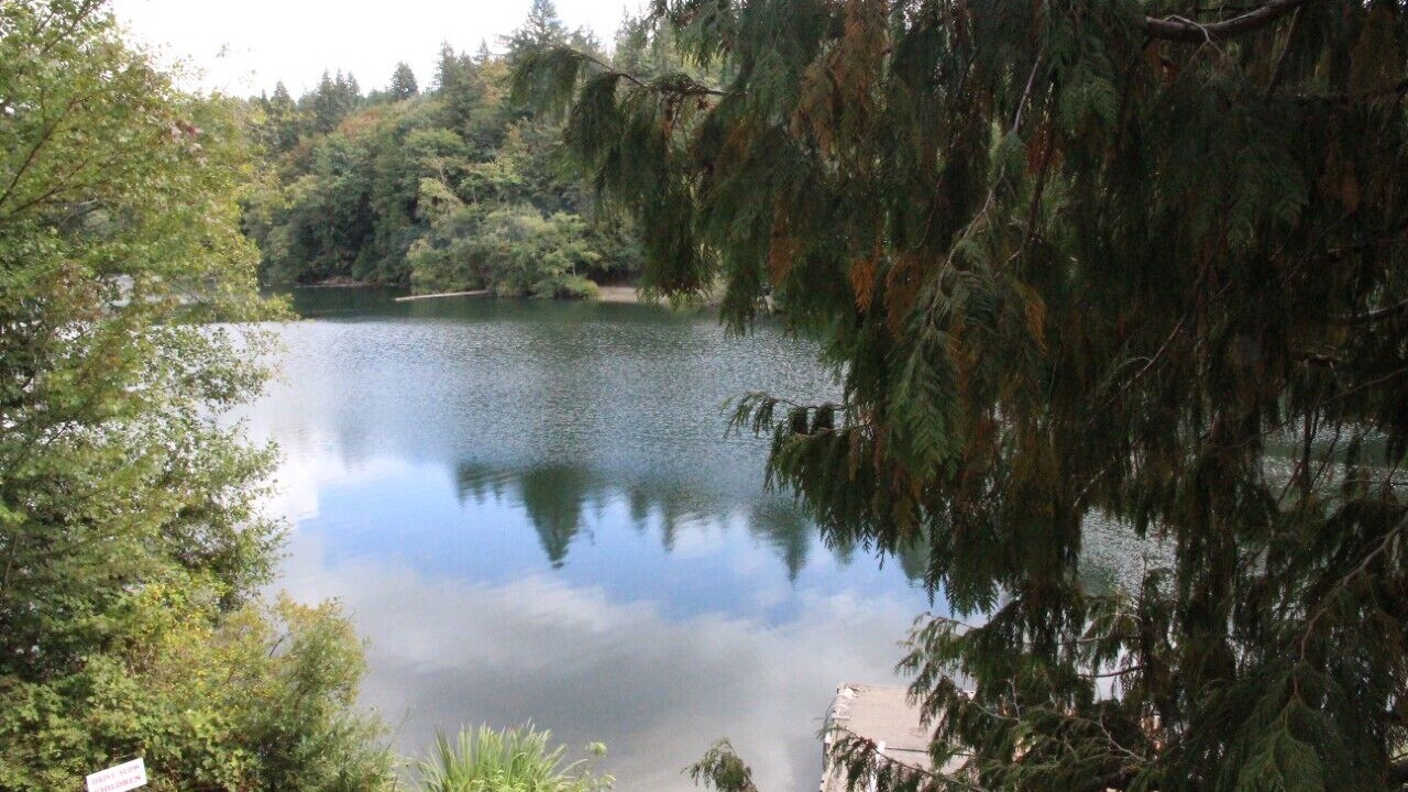 Photo of Outdoor in Bellingham