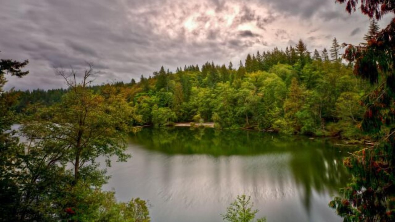 Photo of Others in Bellingham