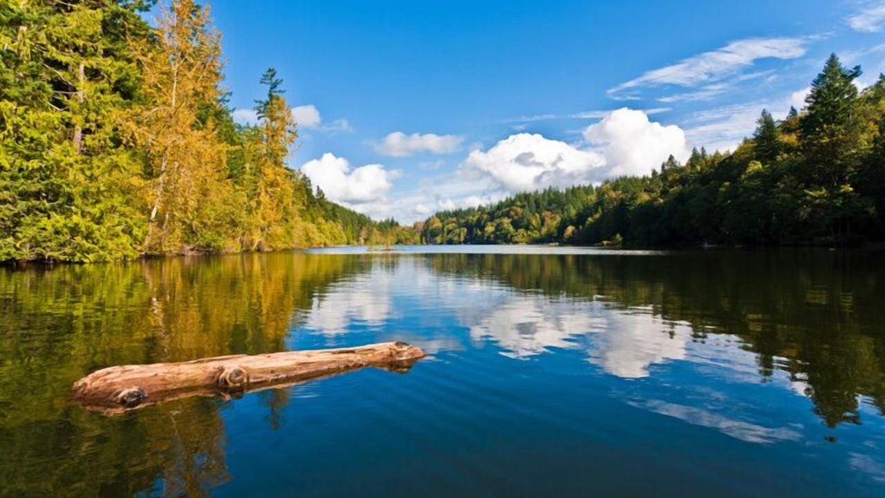 Photo of Outdoor in Bellingham