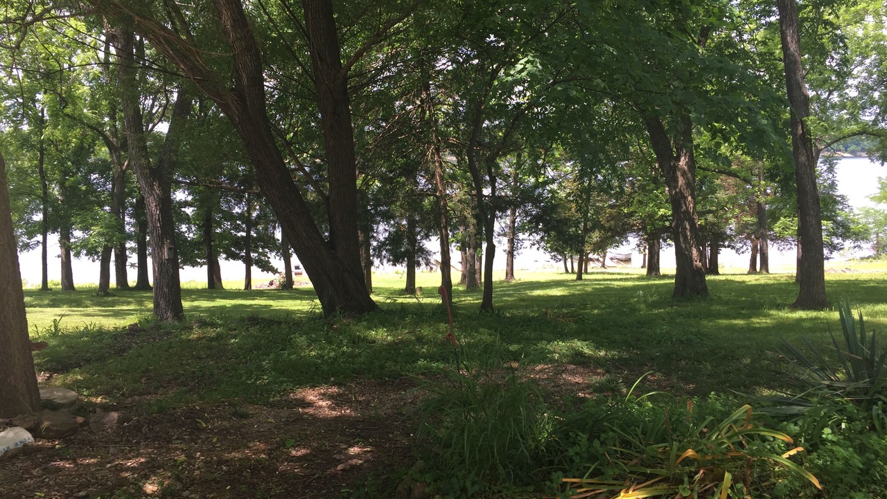 Photo of Outdoor in Pittsburg