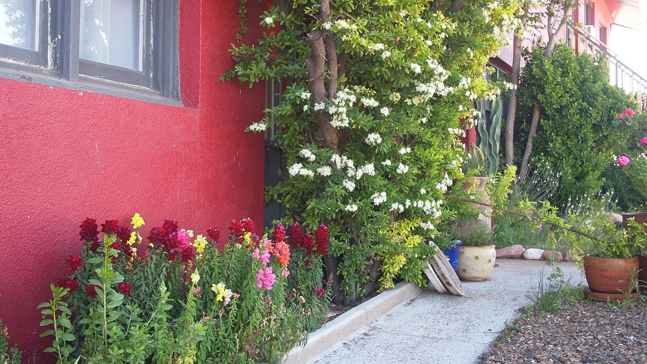Photo of Outdoor in Clarkdale