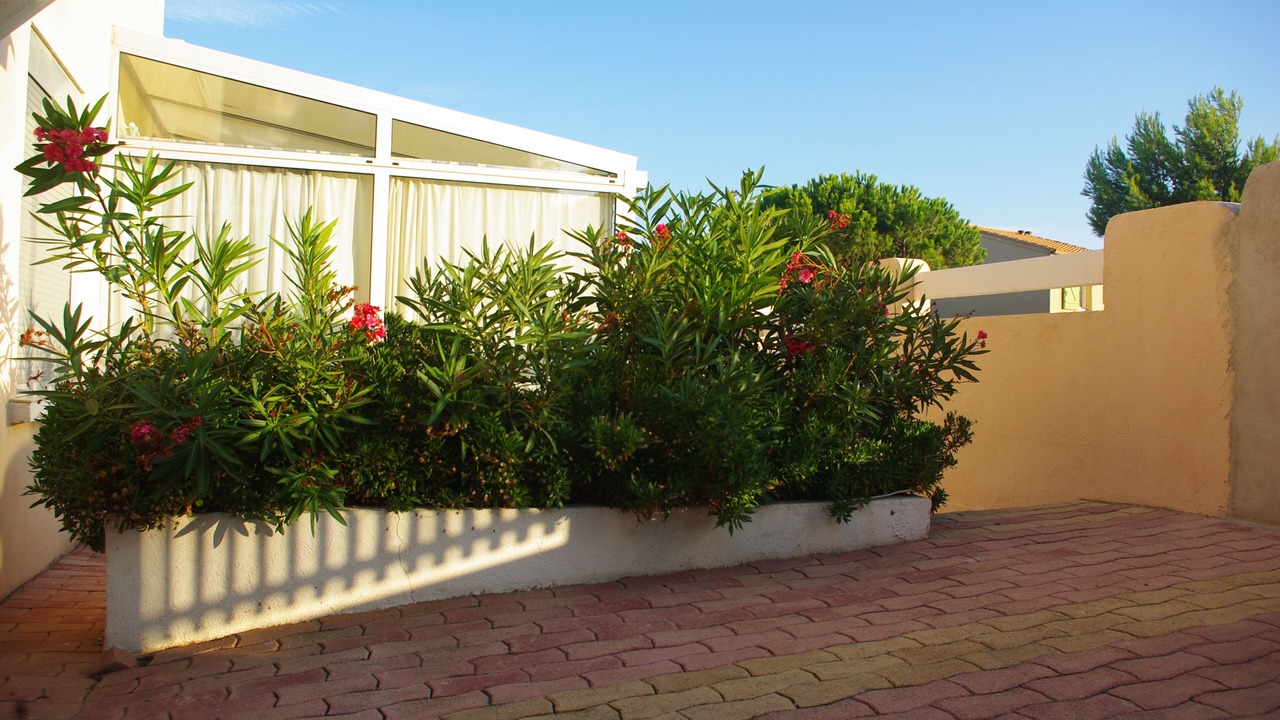 Photo of Outdoor in Saint-Pierre-la-Mer