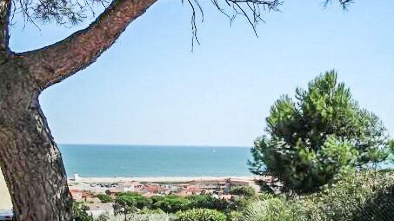 Photo of Others in Saint-Pierre-la-Mer