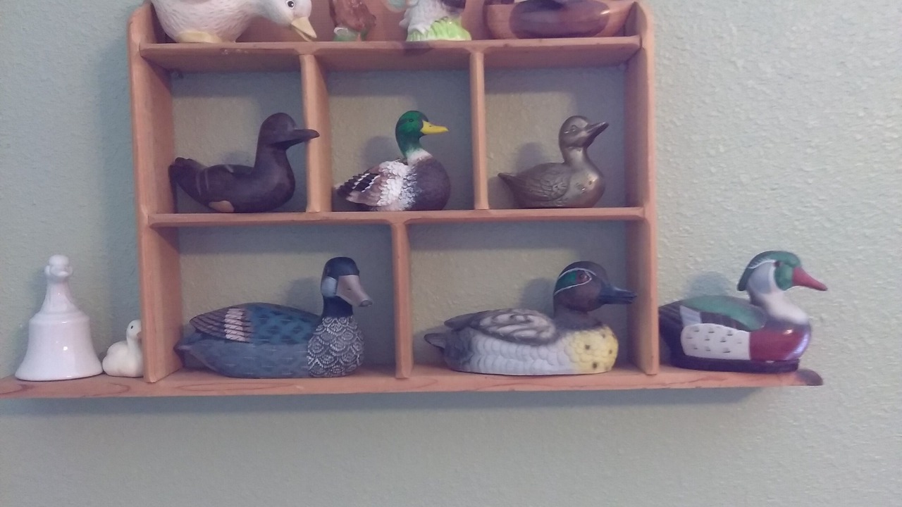 Photo of Others in Steeplechase