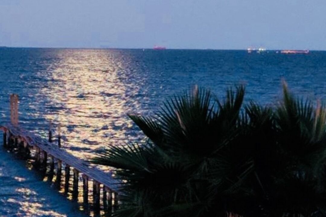 Photo of Others in San Leon